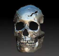Skull mask robot 3D print model