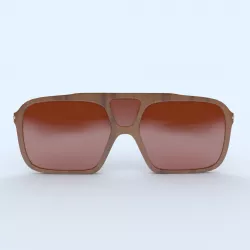 Sunglasses Wooden Brown Frame 3D print model