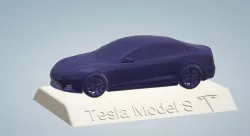 TESLA MODEL S CAR  3D PRINTING STL FILE 3D print model
