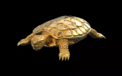 TURTLE TORTOISE 3D print model