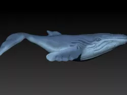  whale 3D print model