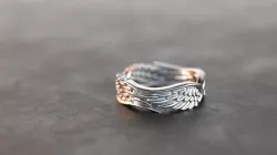 Wings  3D print model