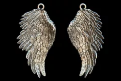 Wings 3D print model