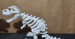 Articulated dinosaur skeleton