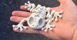 Articulated Skeleton Frog
