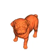 Baby-Mops_Pug