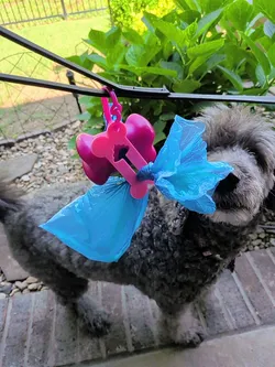 Dog Bone Shaped Poop Bag Holder