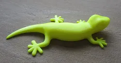Gecko