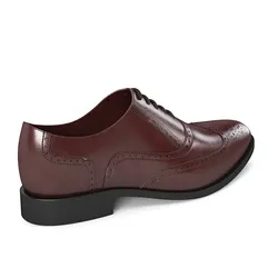 Men Shoes
