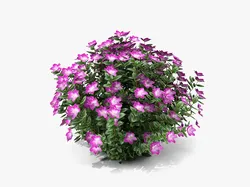 Plant With Flower 3D Model $9 - .fbx .obj .max