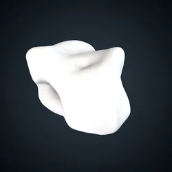Pongo abelii: Cuboid Right