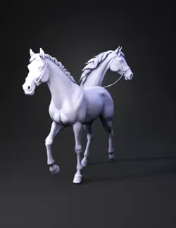 Quaterhorse
