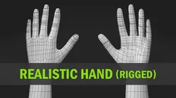 Realistic Hand-Rigged 3D Model $29 - .blend .obj .fbx