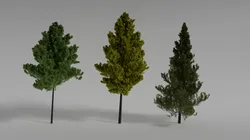 Realistic Trees Scene