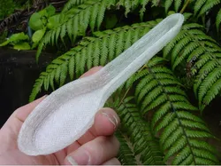 Rice Spoon