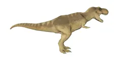 T Rex