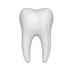 Tooth 3D Model $8 - .c4d .3ds .fbx .obj
