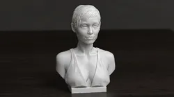 Ariana Grande 3D Print Model in Figurines 639708
