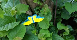 Butterfly - Wiggly colorful blobs for the garden or flowerpot)