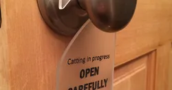 Cat door hanger