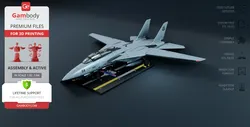 F-14 Tomcat - TOPGUN Aircraft STL Files