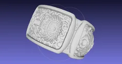 Face Ring Thick