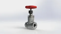 Globe valve and gate valve