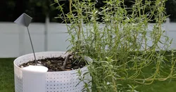 Mosquito-Proof Self Watering Planter