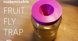 Parametric Customizable Fruit Fly Trap
