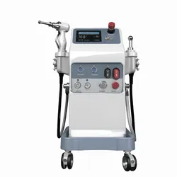 Professional of Advanced Cryotherapy Unit with Temperature Monitoring System