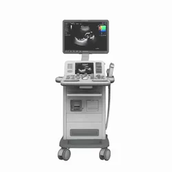 Professional of medical ultrasound system with transducer probe and diagnostic imaging moni