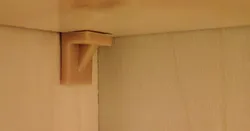 Shelf Support Peg