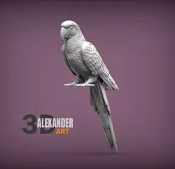 Ara parrot