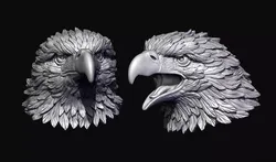 Detailed Eagle Heads