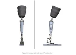 Mechanical Prosthetic Leg