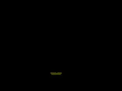project 2D,3D