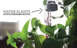Watering Bottle