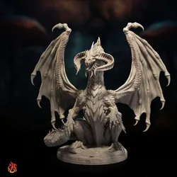 Young Black Dragon