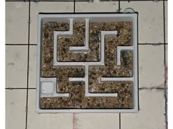 Ant Maze Insectarium