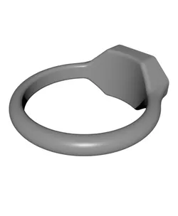 Fish Skeleton Hex-ish Signet Ring