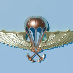 Paratrooper Military Insignia Wall Decoration "Jump Wings" - Adorno de pared Insingia Militar Paracaidista "Jump Wings"