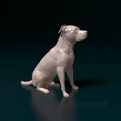 Pitbull