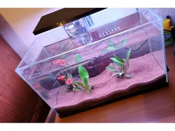 Barre de Led Pour aquarium de 20L
