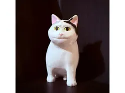 Cat meme - The Polite Cat