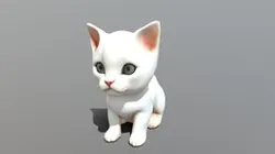 Cute white kitten