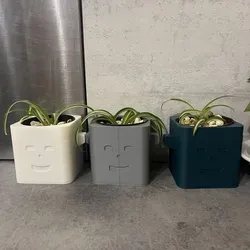 plant pot