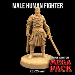 Male Human Fighter | PRESUPPORTED | Dungeon Classics