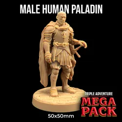 Male Human Paladin | PRESUPPORTED | Dungeon Classics