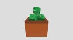 Cocktus