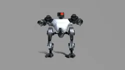 SENTINEL ROB